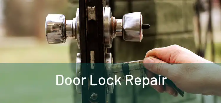 Door Lock Repair