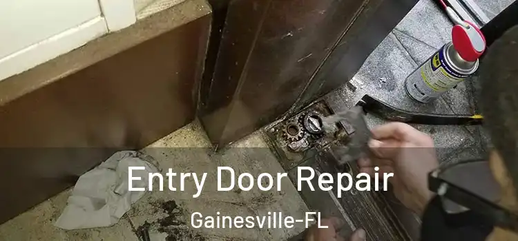  Entry Door Repair Gainesville-FL